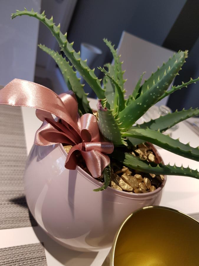קוסטה וולפינו Art B&B Design מראה חיצוני תמונה
