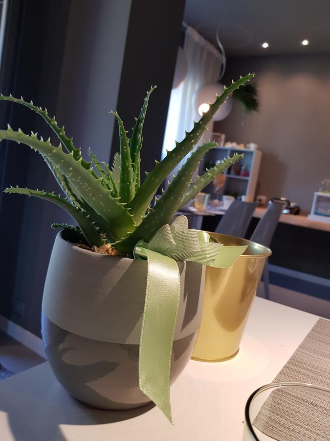 קוסטה וולפינו Art B&B Design מראה חיצוני תמונה